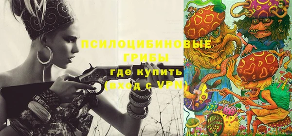 ГАЛЛЮЦИНОГЕННЫЕ ГРИБЫ Белокуриха
