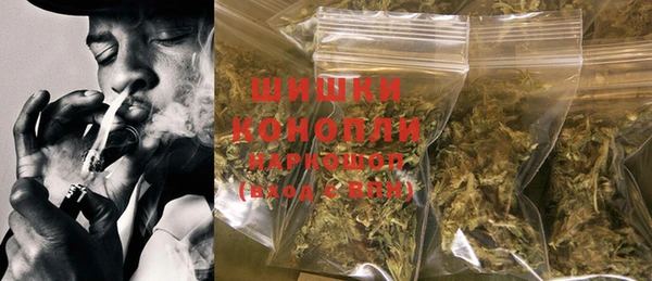 ГАЛЛЮЦИНОГЕННЫЕ ГРИБЫ Белокуриха