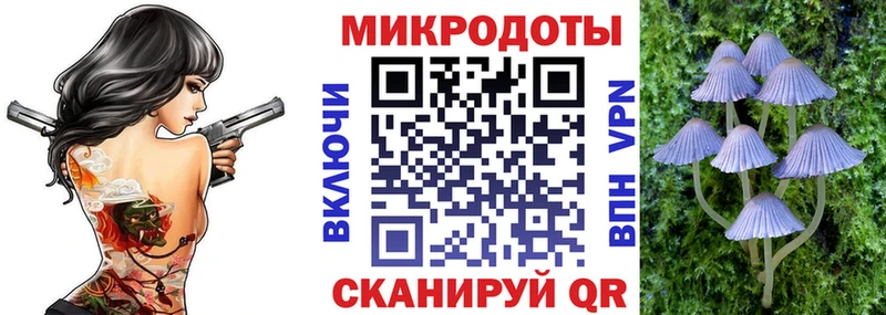 OMG зеркало  Котовск  Галлюциногенные грибы GOLDEN TEACHER 